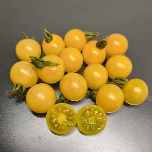semillas de tomate grosella, verdes de interior exóticas resistentes trepadoras resistentes para el jardín 80pcs