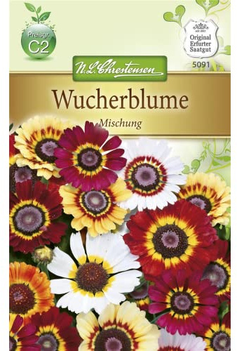 Chrestensen Wucherblume 'Mischung'
