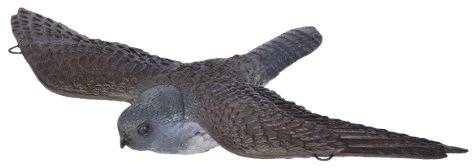 Franzbogen - Fliegender Falke; Ziel BZW. Zielscheibe für den Bogensport, Bogenschießen, Pfeil und Bogen, Armbrust Sport, aus hochwertigem langlebigen Material in 3D