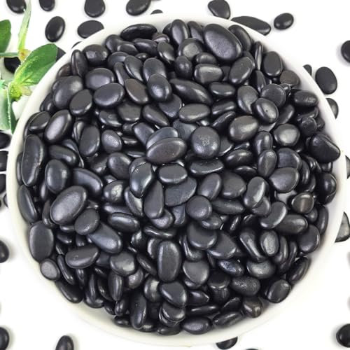 YISZM Piedras negras para suculentas y cactus de 10 libras, piedras pulidas decorativas naturales de 3/8 pulgadas, rocas de río para plantas de interior, jarrones, macetas y jardinería al aire libre