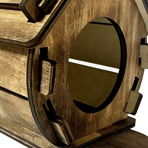 Casetta per uccelli in legno, da appendere, per passeri, cince all'aperto, cortile, cortile, patio, portico, albero, birdwatching