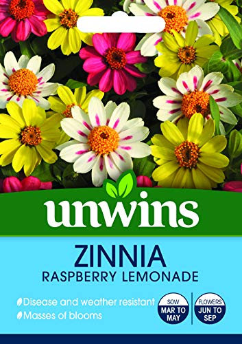 Unwins 30710046 Zinnia Raspberry Lemonade Seeds, Clear