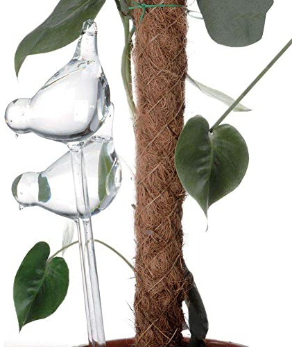 Vilde Bewässerungskugeln aus Glas 2er-Set 200 ml Vogelförmige Kugeln
