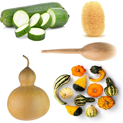 Gourd Seeds Collection, 4 Heirloom Non-GMO Varieties. Birdhouse Bottle, Luffa Sponge, Dipper, Small Mixed.