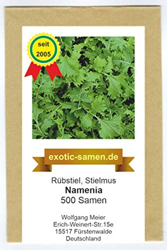 Rübstiel - Stielmus - Namenia - Brassica rapa ssp. Silvestris - 500 Samen