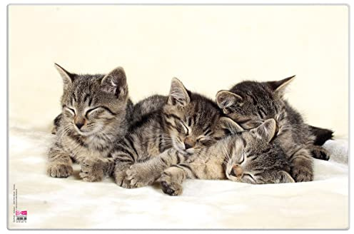 VELOFLEX 4651114 - Schreibtischunterlage Katzen, 40 x 60 cm, rutschfest, abwischbar, mit transparenter Antireflex-Schutzfolie, Schreibtischauflage, Malunterlage, Bastelunterlage, Mittel