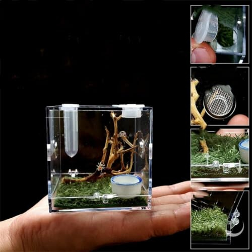 Acryl Reptilien Terrarium Insekten Tarantel Gehäuse Panzer Schnecken Spinnen Lebensraum Käfig Mini Critter Keeper Insektenträger Reptilieninsekten -fütterungsbox