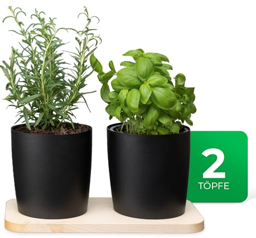 Novaliv Stilvolle Kräuterstation 2er Set mit Holzunterlage und 2 Kräutertöpfe für Jede Fensterbank, Für frische Küchenkräuter, Kräutergarten für die küche, Kräuterbeet Indoor, Blumentopf, Übertopf