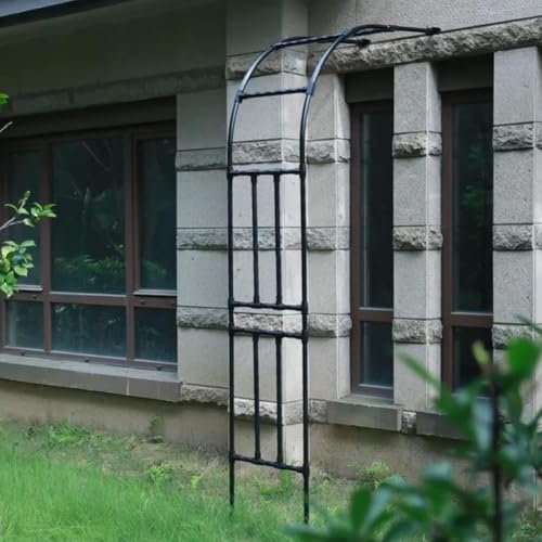 MISKYN Arche De Jardin Demi Rond, Demi-Arche en Métal, Arceau Jardin Arche A Rosiers De Style Fer Forgé, Tonnelle De Jardin Robuste, pour Plantes Grimpante,Noir,180 * 240cm