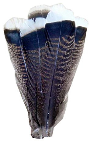 ERGEOB Truthahn Federn 25-30 cm/ 10-12 Zoll Länge Truthahnfedern 10/20/50 stück…