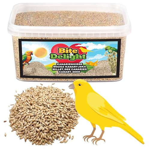Bite & Delight 4kg Kanariensaat Kanarienhirse Reines Saatgut für Vögel, Papageien Kanarienvögel Kanarienfutter Vogel-Samen Canary Seed