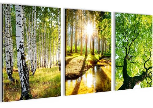 Novart Bilder Set Wald Landschaft - Kein Extra Rahmen benötigt - Wandbilder für Wohnzimmer Schlafzimmer Flur - 3 Teilig Deko Grün - N036636a