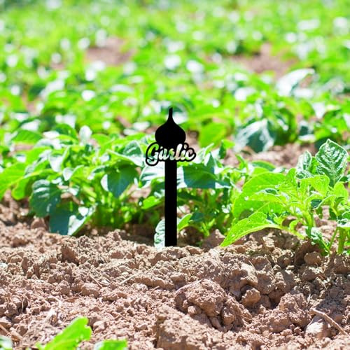 Personalized Garlic Funny Metal Garden Markers Signs Labels, Custom Waterproof Plant Marker Reusable Garden Stake Tags with Vegetable Names for Nursery Indoor Outdoor Garden Decoration(18)