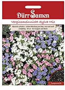 Dürr-Samen - Vergissmeinnicht Sylva Mix gelb mit Auge zweijährig 20 cm Saatgut