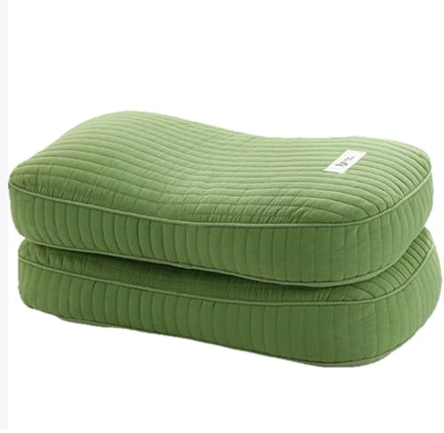 WLH Alexanders Oreillers Oreiller en Sarrasin Entier pour Les dormeurs sur Le côté, Le Dos et Le Ventre, Oreiller de lit pour Dormir, Taille Standard 30 x 50 cm, Oreiller Dur Linge de lit