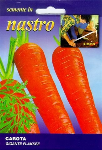 CAROTA GIGANTE FLAKKEE IN NASTRO