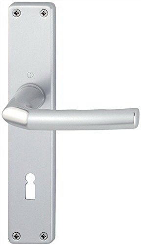 Langschild-Drückergarnitur Birmingham 1117/202SP OB VK 8mm Entf. 72mm Alu F1