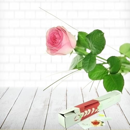 Einzelne rosa Rose | Mit Ruskus und Gräsern dekoriert, inklusive gratis Grußkarte