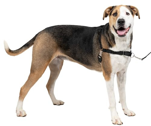 Arnés para Perros Easy Walk de PetSafe, arnés antitirones para Perros adiestramiento con Correa y Collar – Evita tirones y Asfixia en los Paseos – Extragrande, Negro