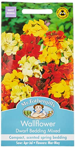 Mr Fothergill's WallFlower Dwarf Bedding Mixed