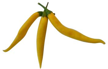 Cayenne Lot de 30 graines de piment
