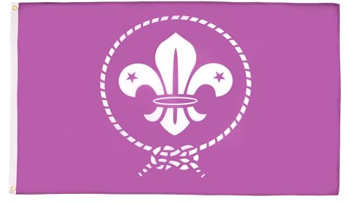 AZ FLAG - Drapeau Scouts Violet - 150x90 cm - Drapeau Du Scoutisme 100% Polyester Avec Oeillets Métalliques Intégrés - Pavillon 110 g