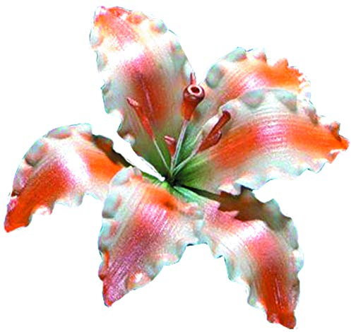 Mallard Ferriere FLEUR DE LYS en SUCRE ORANGE P/1
