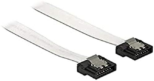 DeLOCK 0.3 m 2 x SATA