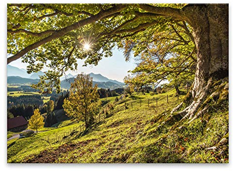 STYLER Glasbild Green Tree 80 x 120 cm I Wandbild Bild Glas modern Küche Wohnzimmer Schlafzimmer Badezimmer I Wald grün Bäume Natur Felder Berge Sonne schlicht | XXL groß | verschiedene Motive