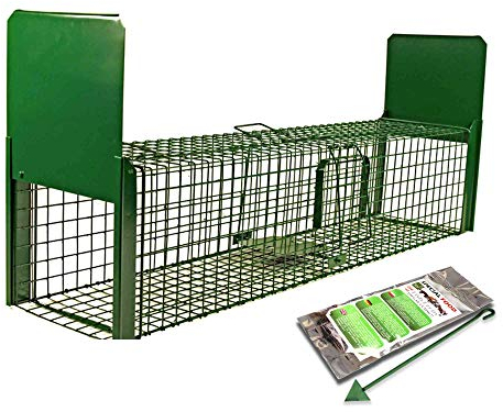 Holtaz Fallen Strong Grün 150x34x34 cm 2 Türen Marderfalle Katzenfalle Fuchsfalle Biberfalle Tierfalle Kastenfalle Drahtfalle Lebendfalle Mit Extra Köder