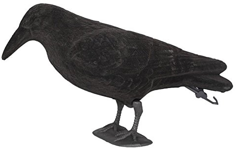 Beflockung Krähen,Schwarz Lockkrähe mit Flügeln,Kunststoff Krähe Lockvögel Rabe Krähenjagd Gartenfigur Rabe Vogelscheuche, Taubenschreck Erdspieß und Fußständer-Beflockt Lockvogel Gartendekoration