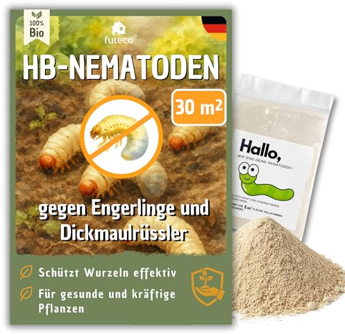 Futeco® – HB-Nematoden gegen Dickmaulrüssler & Engerlinge – für 30m² Fläche – zum einfachen gießen – 100% Biologisch, Chemiefrei & Natürlich – Made in Germany