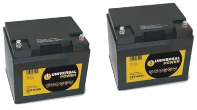 UNIVERSAL POWER Ersatzakku für Dietz Alvaro+Agin Scooter 24V 2 x 12V 50Ah