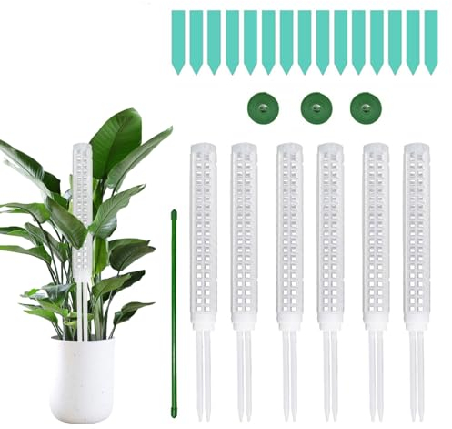 Les-Theresa 6 Pezzi Palo Muschio Piante, Palo di Muschio per Pothos Bastone Muschiato Tutori Piante Rampicanti Moss Pole Monstera Palo Sostegno Piante con Etichette per Piante, Bianco, 63.4cm