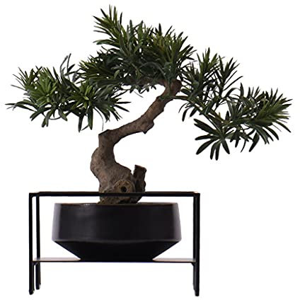 Künstliche Pflanze, künstlicher Baum, Kiefer, Podocarpus, Bonsai, grüne Topfpflanze, Hotelfenster, trockene Landschaft, Zen-Ornamente, künstliche Zimmerpflanzen