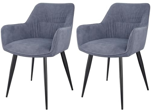 LEWE Esszimmerstühle 2er Set, Ergonomisch Polsterstuhl, Küchenstühle mit Armlehne, Metallbeine, Breitere Sitzfläche, Kurzflor-Stoff für Esszimmer Wohnzimmer Schlafzimmer, Grau