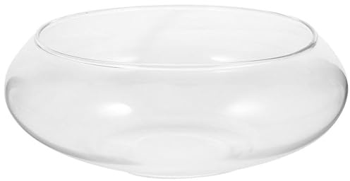 HEMOTON Pot de Fleurs en Verre pour Bureau, Petit Modèle Décoratif