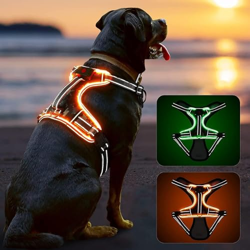 Hundegeschirr Leuchtend Verstellbar für Kleine Mittelgroße Grosse Hunde, Anti Zug Leuchtgeschirr für Hunde, Reflektierend LED Leucht Brustgeschirr Gepolstert, No-Pull Hund Geschirr mit Licht, Orange-S
