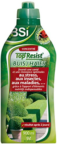 Bsi Top Resist Dünger für Buchsbäume/Hecke 900 ml