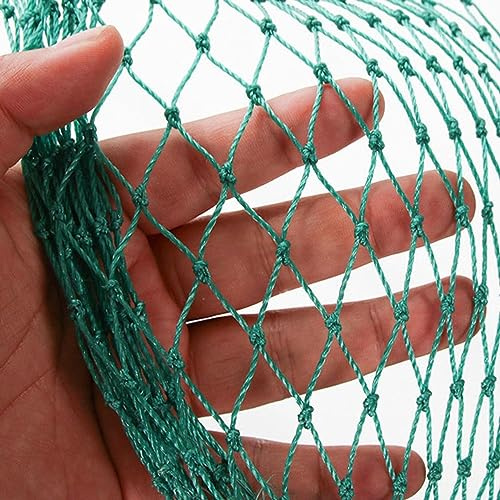 PanHuiWen Vogelnetze Vogelschutznetz Stabil Gartennetz FüR Pflanzen Katzennest 1.5 x1.5cm große für Obstbäume Garten Balkon Oder Teich,6x10m
