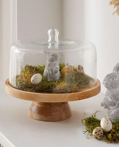 Dekoleidenschaft Servierplatte Rund aus Mangoholz mit Haube aus Glas, Käseglocke, Holzteller mit Glasglocke, Servierbrett