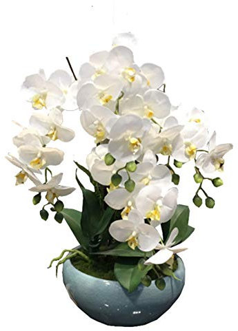 SdaryWare Orchidée Phalaenopsis Artificielle, Arrangement Floral en Soie Blanche avec Vase, Fausses Plantes, décoration exquise pour la Maison, fête de Mariage, Blanc-A,White-A