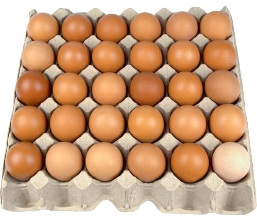 Frische Eier Freilandeier direkt vom Bauernhof Größe M 30 Stück natürlich gefüttert mit Mais und Naturfutter für vollmundigen Geschmack sicher verpackt Hühnereier 1740 gramm)