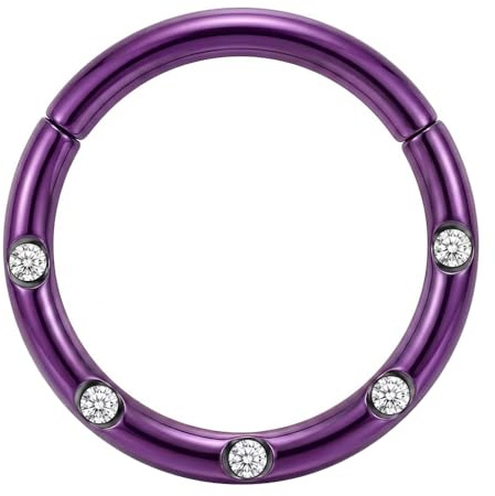 AZARIO LONDON Five Paved Crystal Gemstone 16 Gauge - 8mm Diameter Purple Anodized Surgical Steel Clicker Hinged Segment Ring Helix Cartilage Earring Tragus Hoop Ring Piercing Jewellery