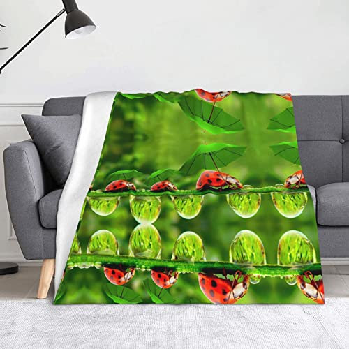 HAHAFU Lustige Marienkäfer-Decke mit Regenschirmen, warme Überwurfdecke, bedruckt, saugfähig, für Sofa, Bett, weiche Flanelldecke, 150 x 125 cm