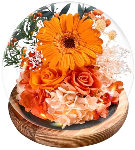 Muttertagsgeschenk für Frauen | Ewige Gerbera und Rosen im Glas mit Licht | Konservierte Blumen Mit Geschenkbox | Für Frauen, Mama, Oma, Freundin | Zum Valentinstag, Muttertag – Deko & Geschenk​