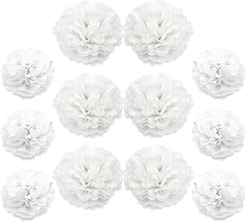 Ruidee 12 Stück Seidenpapier Pompoms 10in and 12in Papier Blumen Ball Dekorpapier Kit Papierblumen Pom Poms für Hochzeit,Geburtstage,Party Dekorationen (ZH/White)