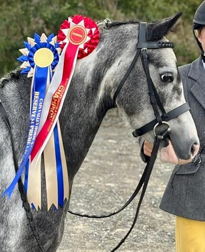 Hunter Snaffle Bridle with Plaited Browband & Rubber Reins-M&M/Native/Shetland/Pony/Cob/XF Small Pony / Black