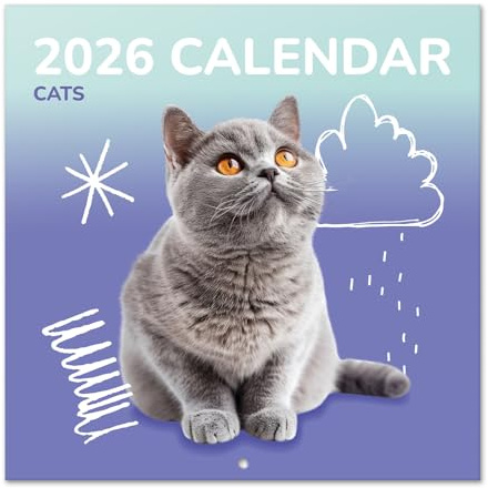 Grupo Erik - Calendrier Chat 2026 Mural - Calendrier 2026 Mural Mensuel │ Idee Cadeau : Calendriers Muraux │ De Janvier à Décembre : Espace pour notes et Illustrations décoratives (30x60 cm)