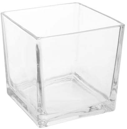 NUOBESTY Thick Clear Square Glass Vase Hydroponic Flower Planter Modern Terrarium Vase for Office Tabletop Decoration Home Centerpiece